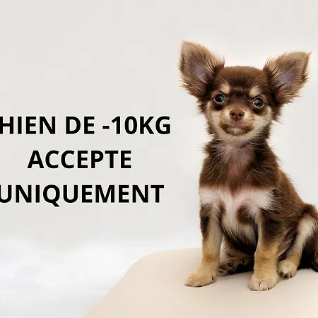 Restaurant La Madrague Ξενοδοχείο 3*