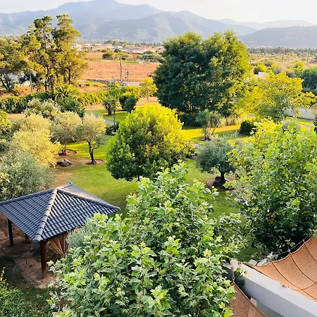 Restaurant La Madrague
