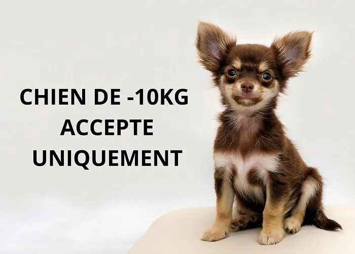 Restaurant La Madrague Отель 3*